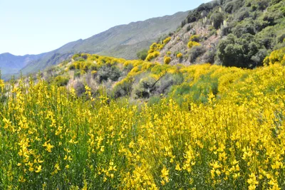 DSC_7314 (Large).JPG